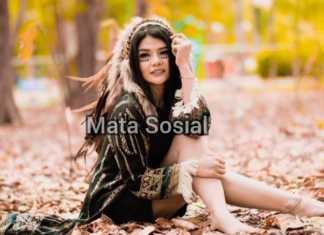 Tengku Careen Artis