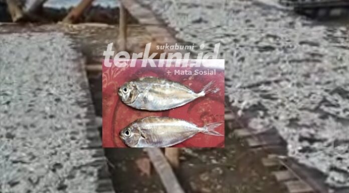 Ikan