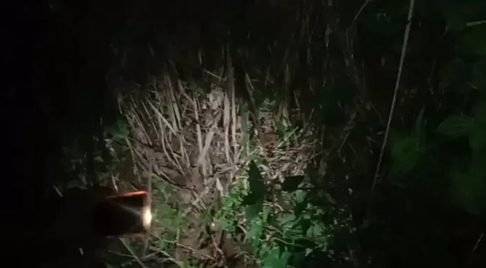 Mancing Belut di Malam Jum'at, Gilang :Ini Hobi, Yang Bikin Nikmat Itu Ya Pas Nariknya Tarik Ulur ngurek