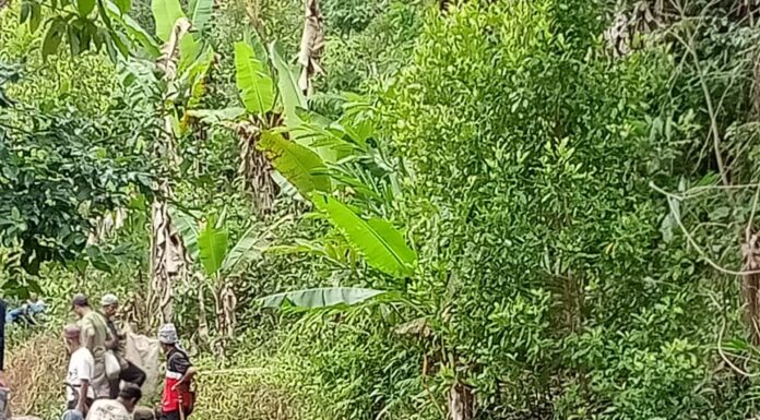 Gotong Royong