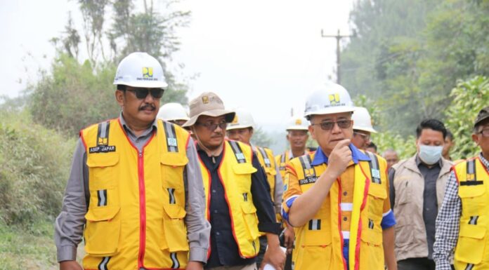 wakil bupati sukabumi