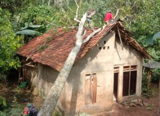 Kpt Inf Budi Hadi Priyadi