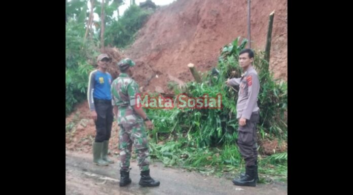 Pelda Arif Babinsa Koramil 0622-01/Cisolok Cek Lokasi Longsor di Desa Cicadas longsor