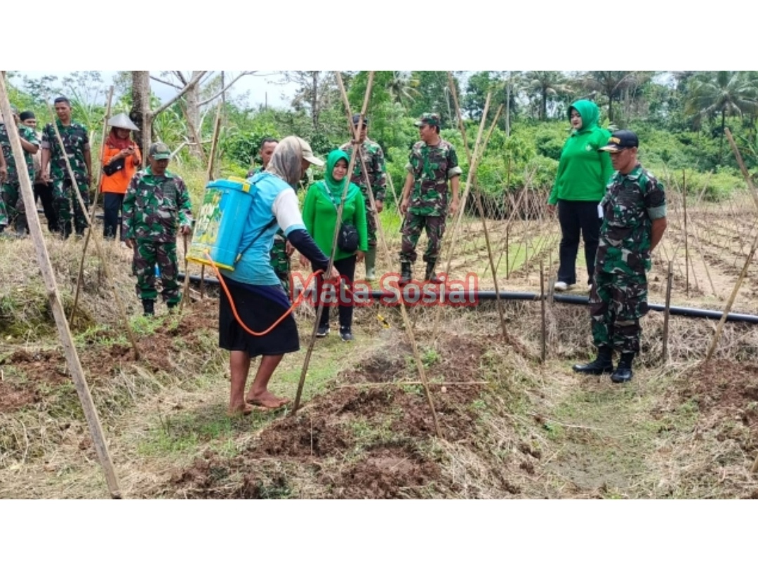 Koramil 0622-13/Japang kulon dan Persit 14 Sosialisasikan dan Aplikasikan Bios 44 yang Bikin Petani Bahagia