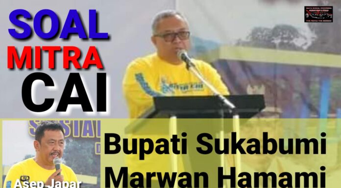 Mitra cai