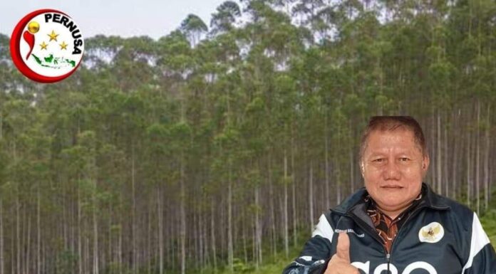 SAtrio Piningit