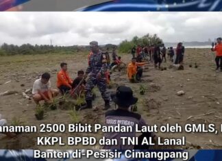 Pandan laut