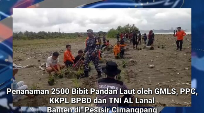 Pandan laut