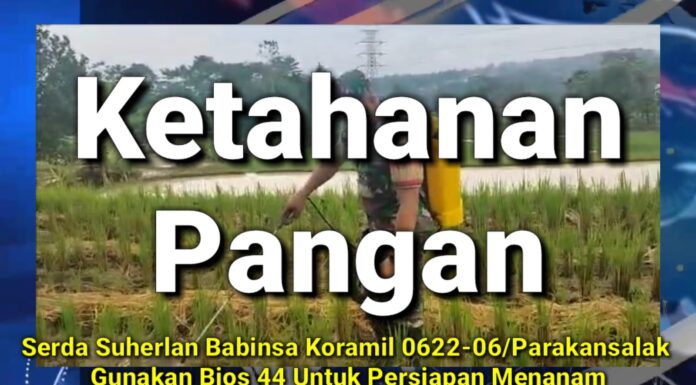 Ketahan pangam