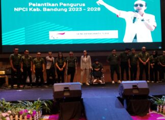Ketua NPCI